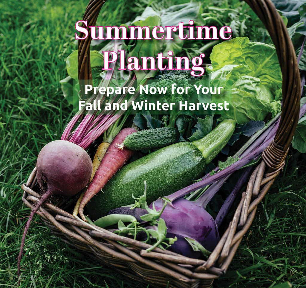 WHAT TO PLANT IN LATE SUMMER or EARLY FALL