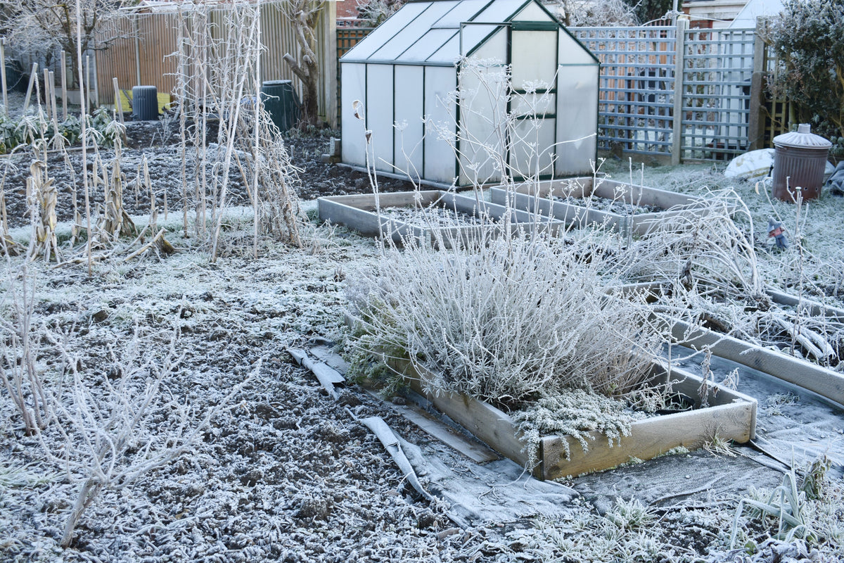 Winter Garden Planning: Essential Tasks to Prepare for Your Spring Gar ...
