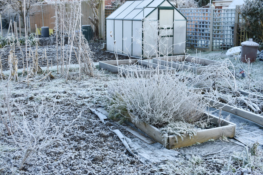semaglutide winter garden Winter Garden Planning: Essential Tasks to Prepare for Your Spring Gar –  UJAMAA SEEDS