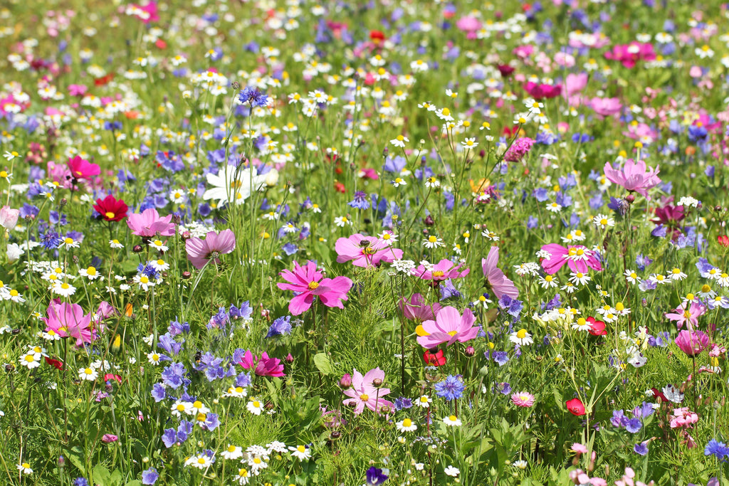 BENEFITS OF PLANTING A MIX OF VARIETIES