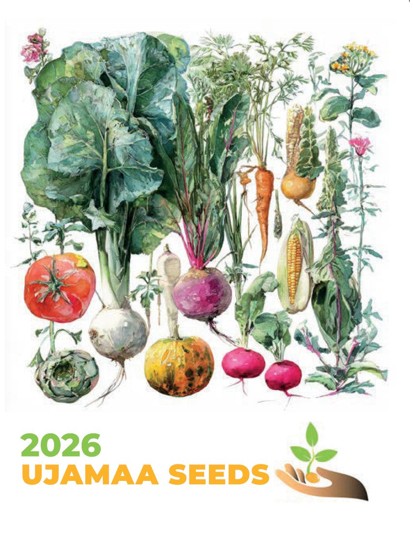 vegetable garden seed catalogs 2026 UJAMAA SEEDS CATALOG