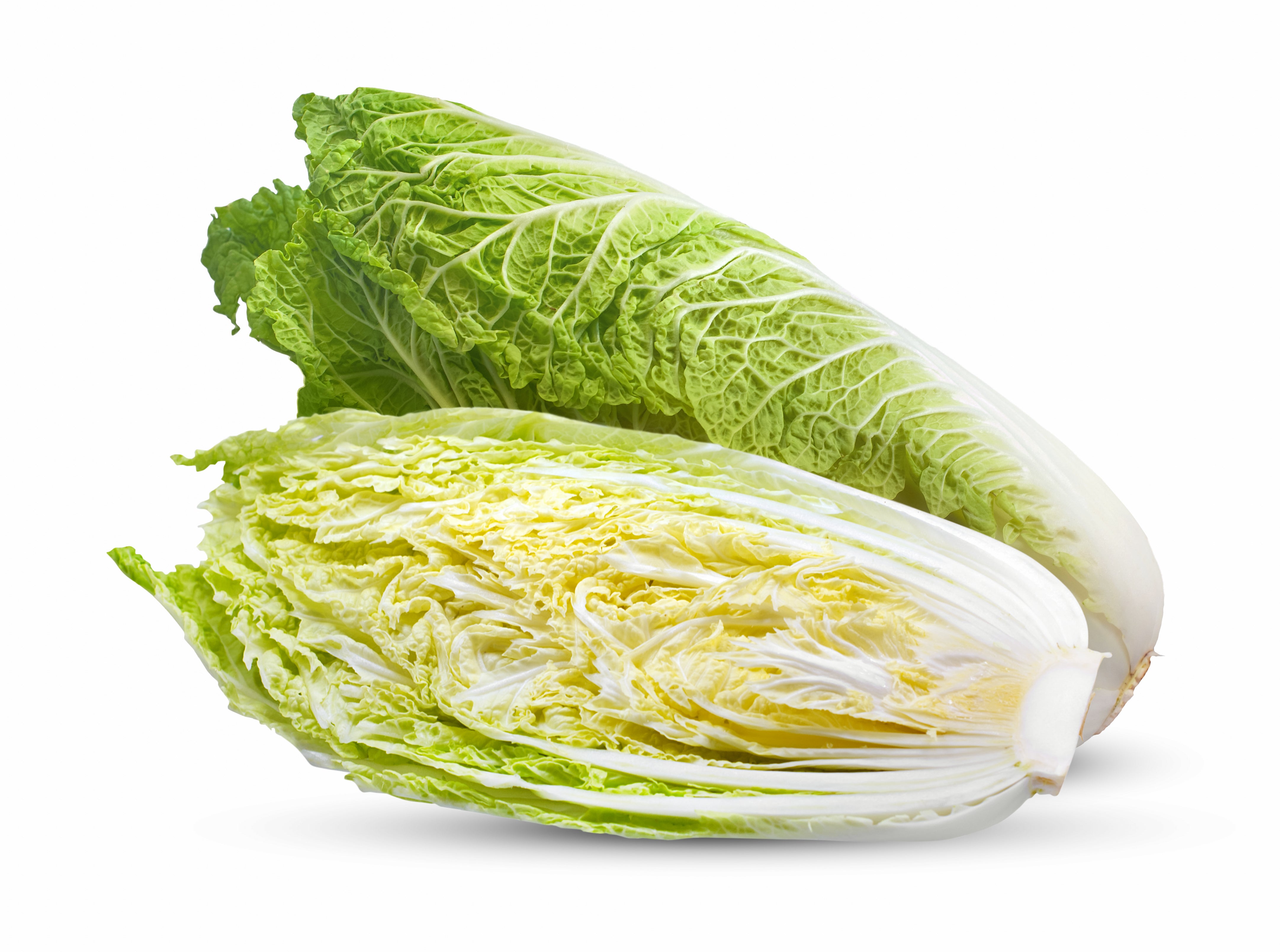 Aichi Chinese Cabbage – UJAMAA SEEDS