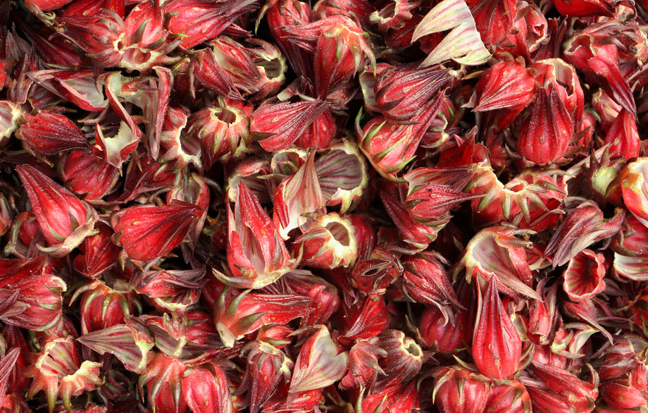 hibiscus flower seeds for sale Asian Sour Leaf Roselle Hibiscus (Sorrel) – UJAMAA SEEDS