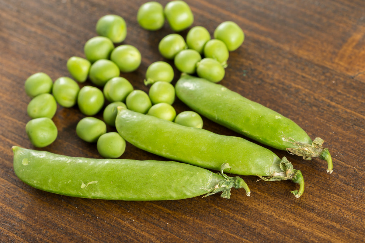 PEA, Little Marvel – UJAMAA SEEDS