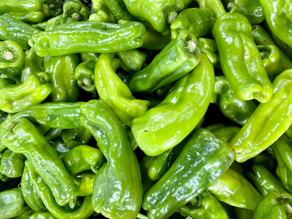 Cubanelle Pepper – UJAMAA SEEDS