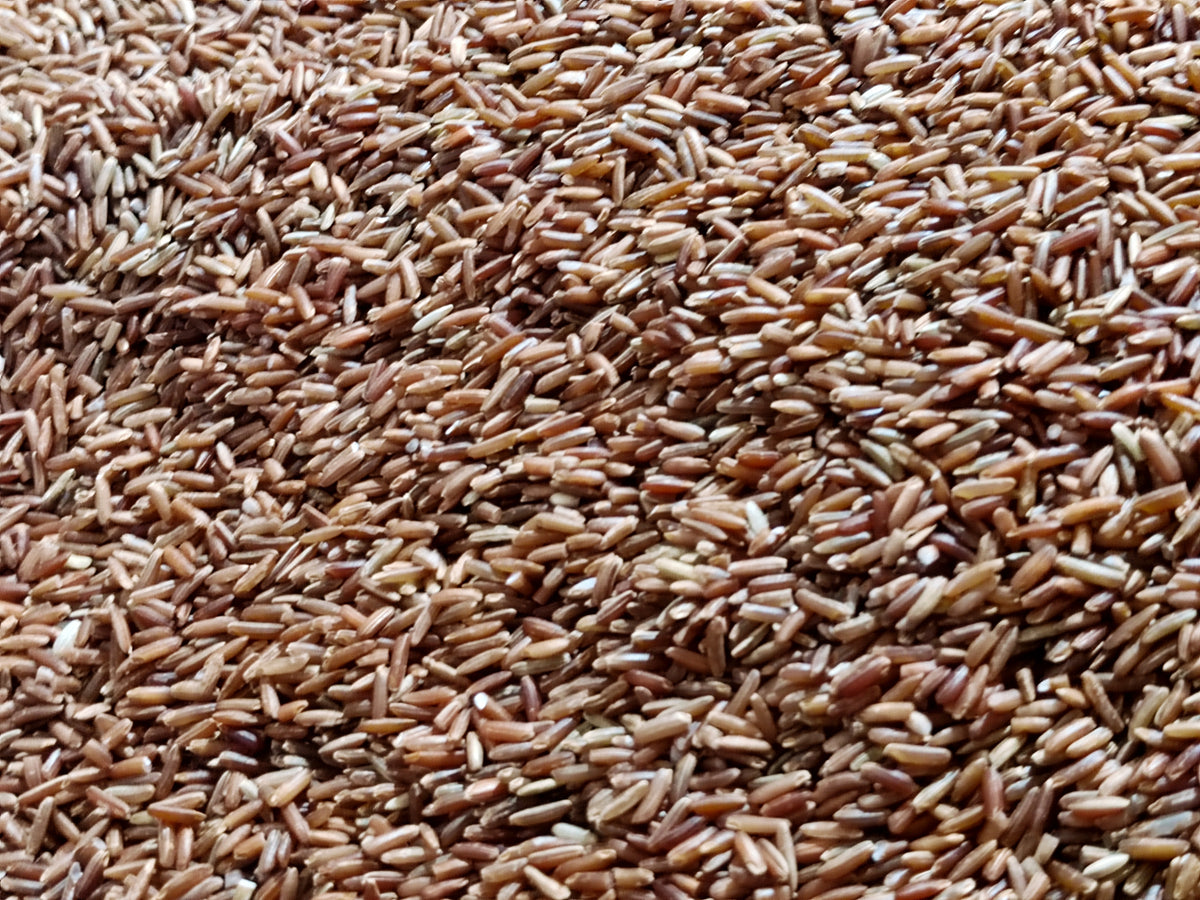 Scarlet Red Rice – UJAMAA SEEDS