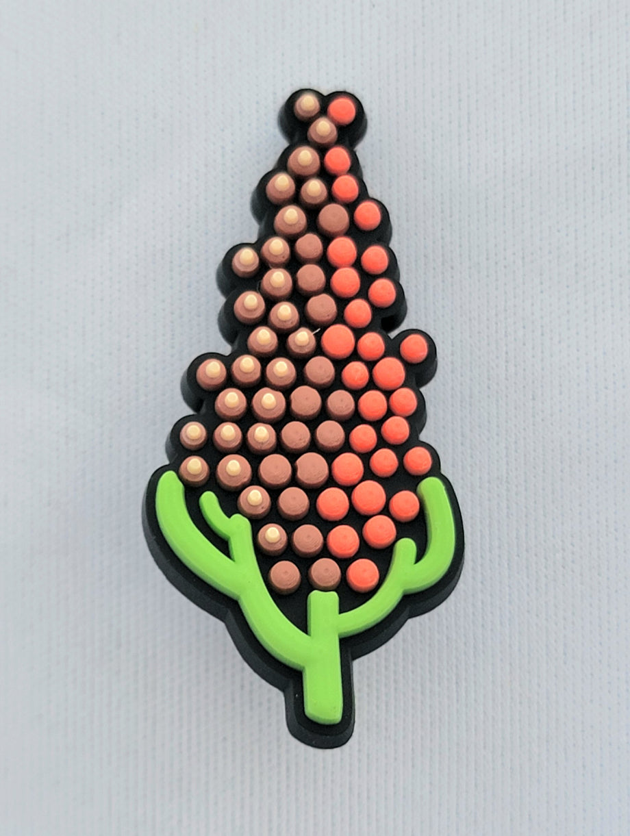 SHOE CHARMS – UJAMAA SEEDS