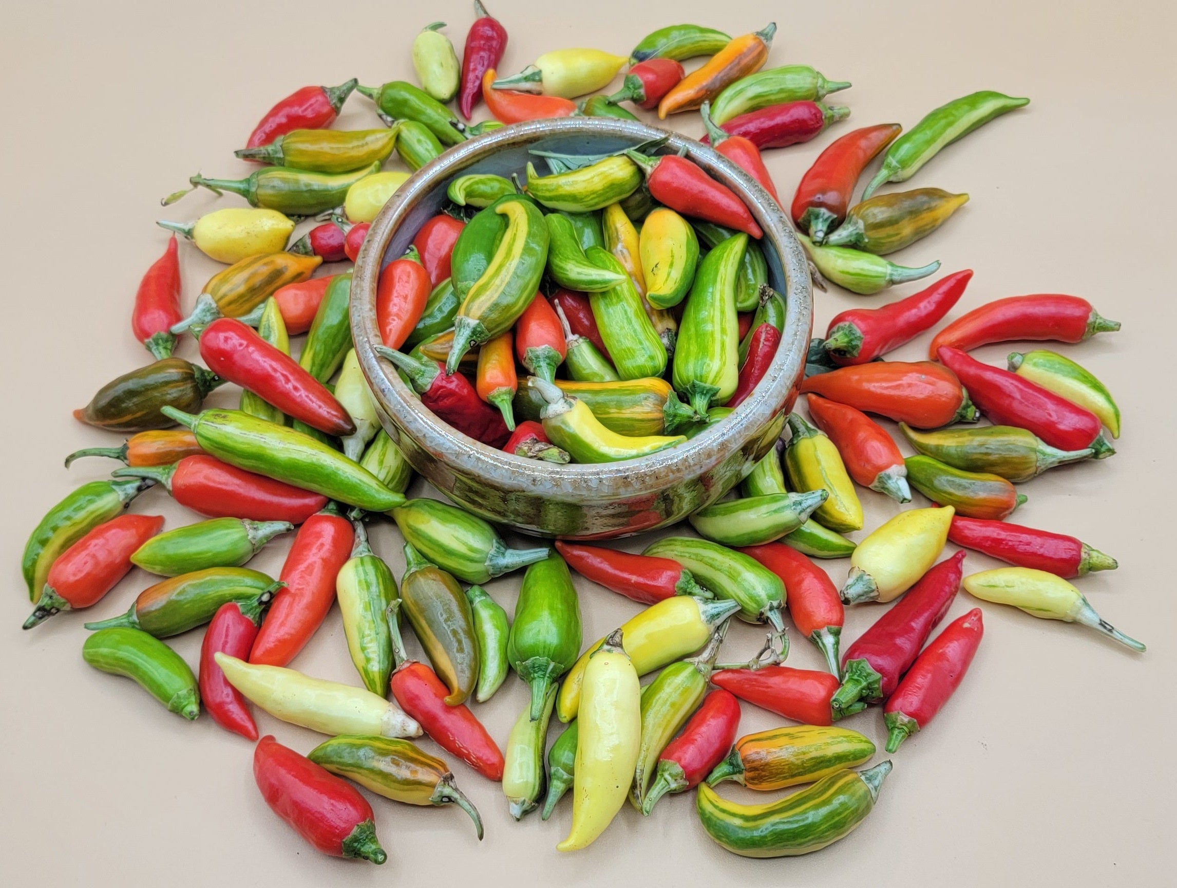 fish fertilizer pepper plants Fish Pepper (Hot) – UJAMAA SEEDS