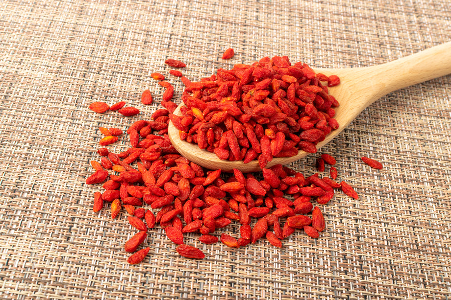 goji berry plant seeds Goji Berry – UJAMAA SEEDS