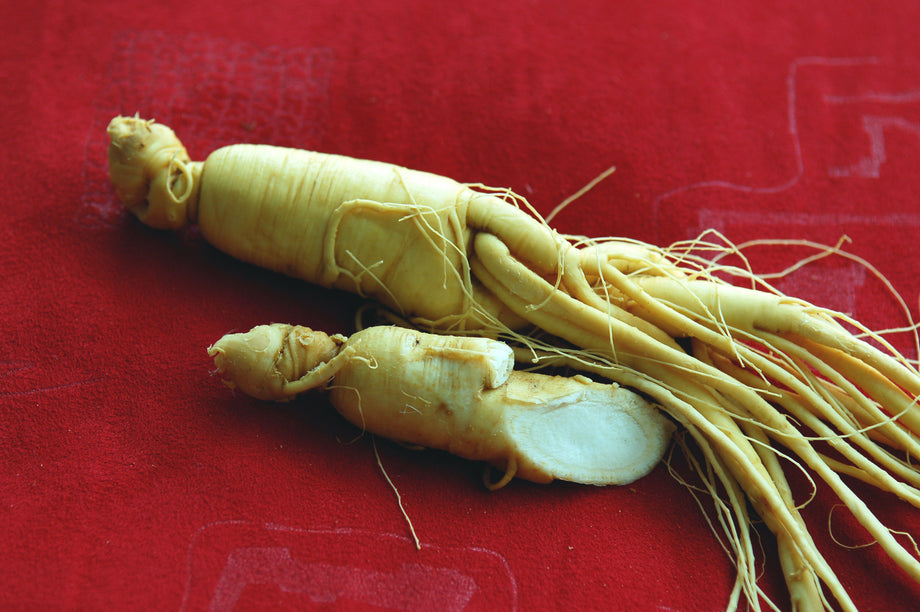 Chinese Ginseng – UJAMAA SEEDS